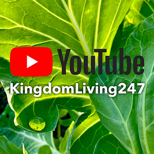 YouTube link - KingdomLiving247