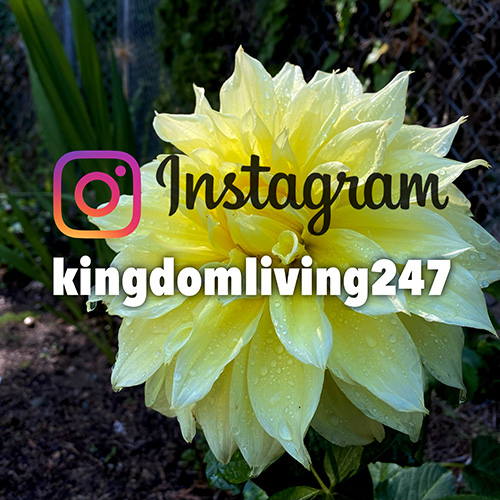 Instagram link - kingdomliving247
